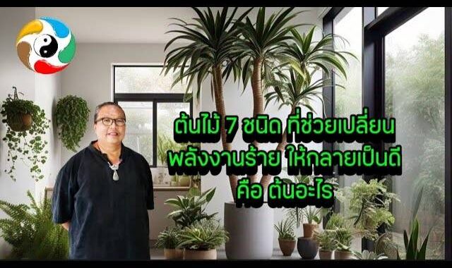 ต้นไม้ 7 ชนิด ที่ช่วยเปลี่ยนพลังงานร้ายให้กลายเป็นดี คือ ต้นอะไร